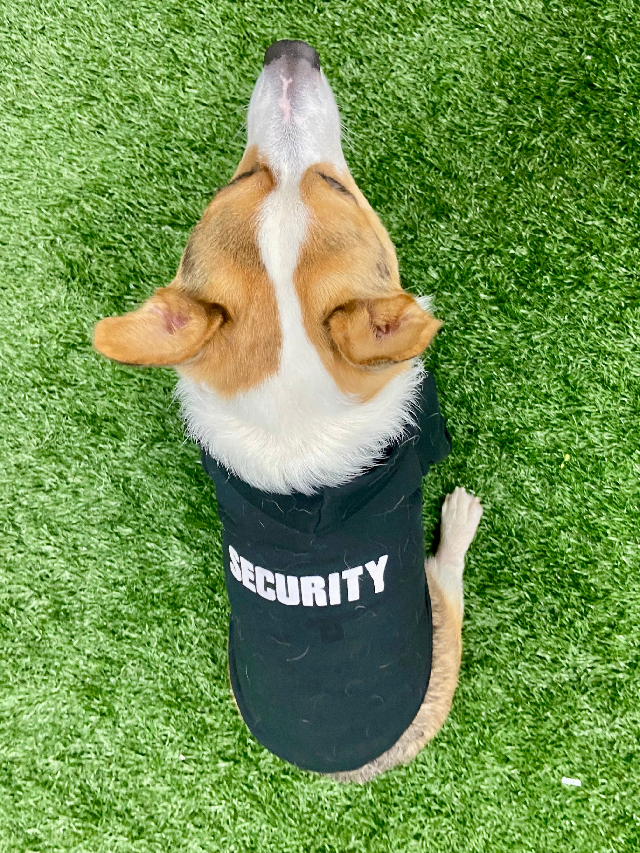 Fleece hooded dog sweater