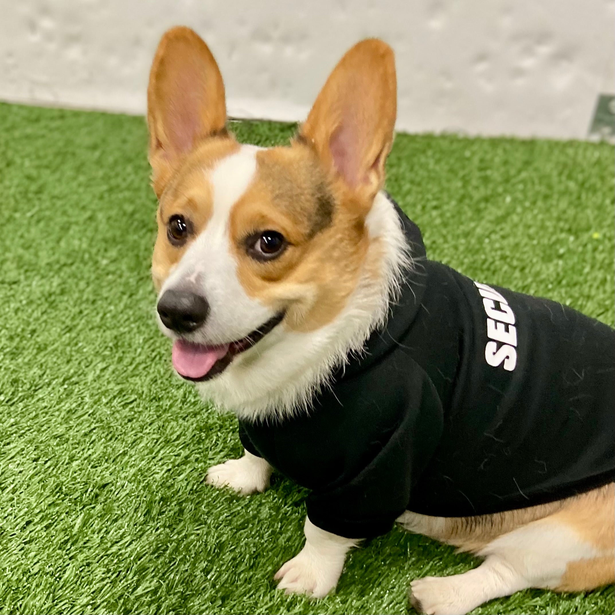 Fleece hooded dog sweater