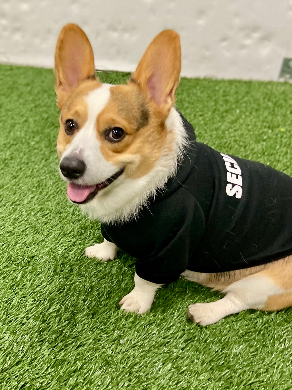 Fleece hooded dog sweater